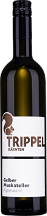 Gelber Muskateller Ried Kreuzfeld Alpenwein Weißwein