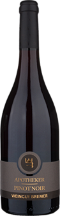 Niefernheim Apotheker Pinot Noir trocken Rotwein