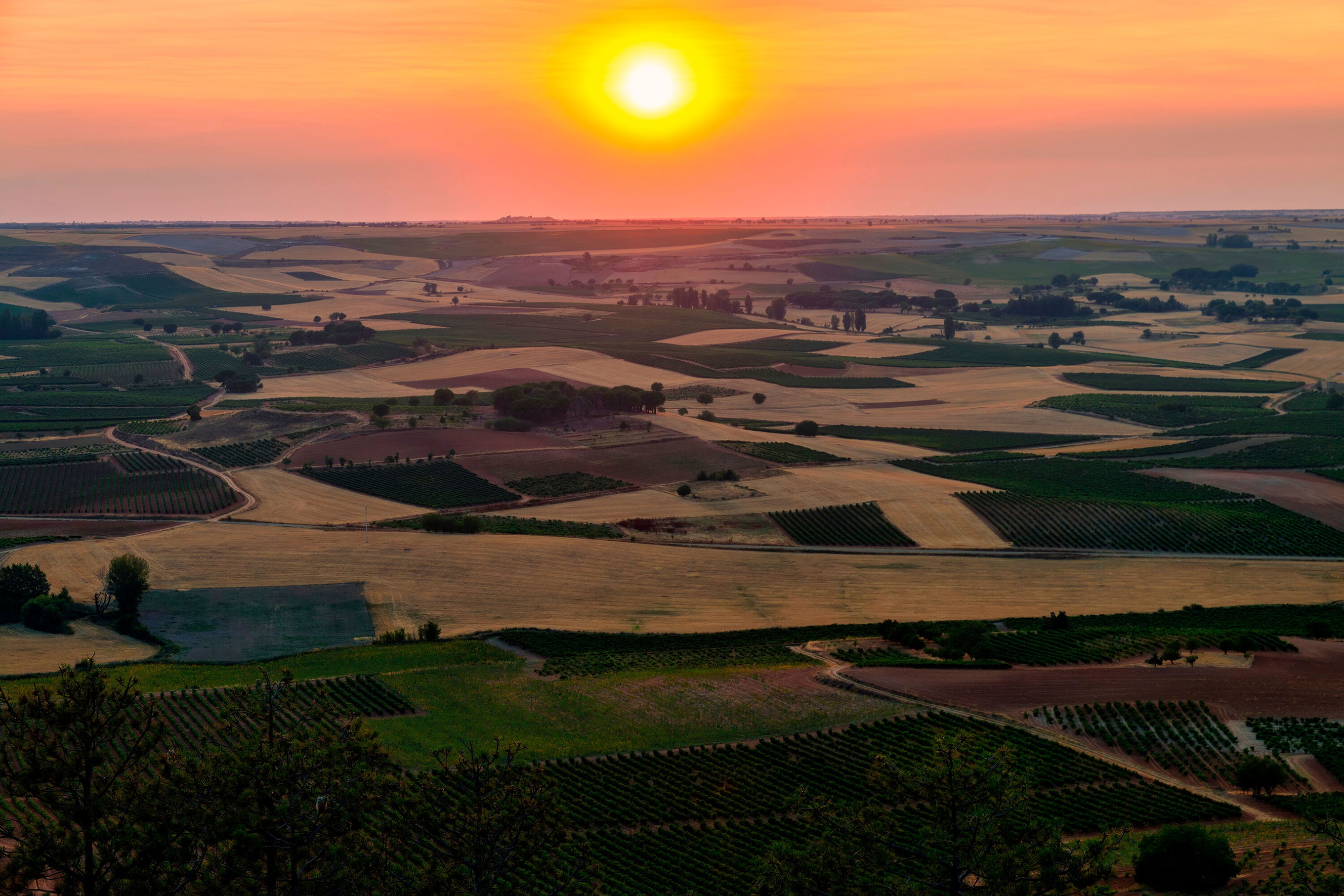 Best Of Ribera Del Duero - Falstaff