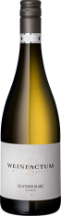 »2Stern« Sauvignon Blanc trocken Weißwein