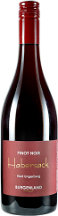 Pinot Noir Ried Ungerberg Rotwein