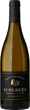 Chardonnay White Wine