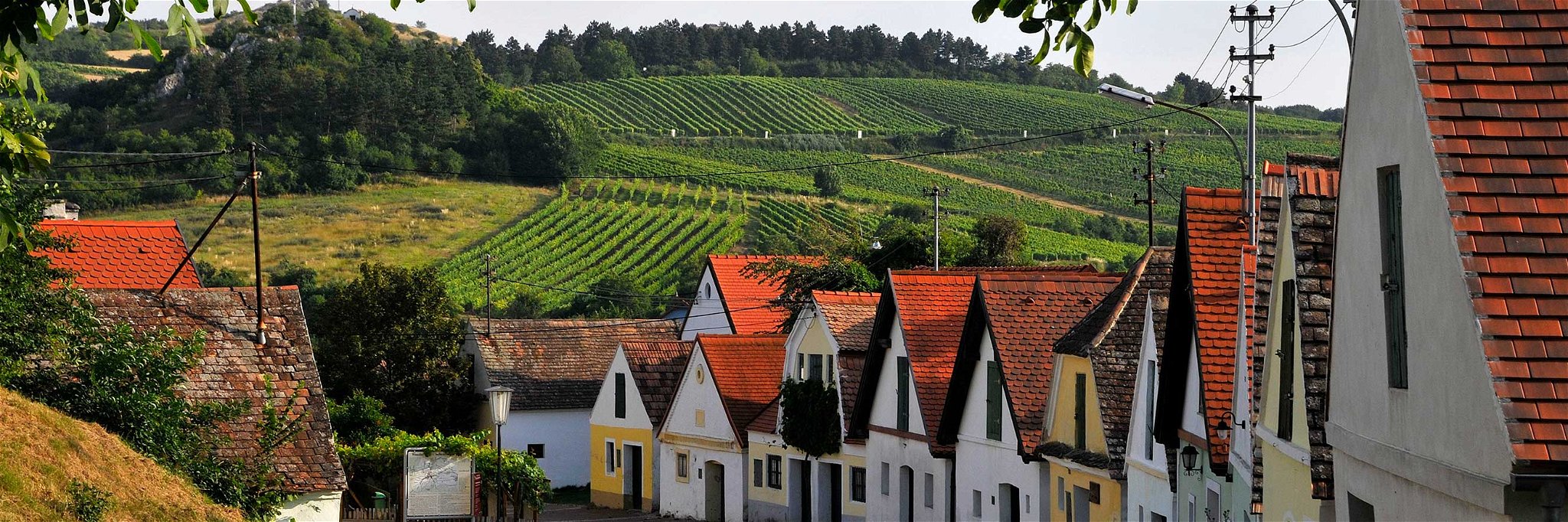 Eine typische Weinviertler Kellergasse in Falkenstein. 