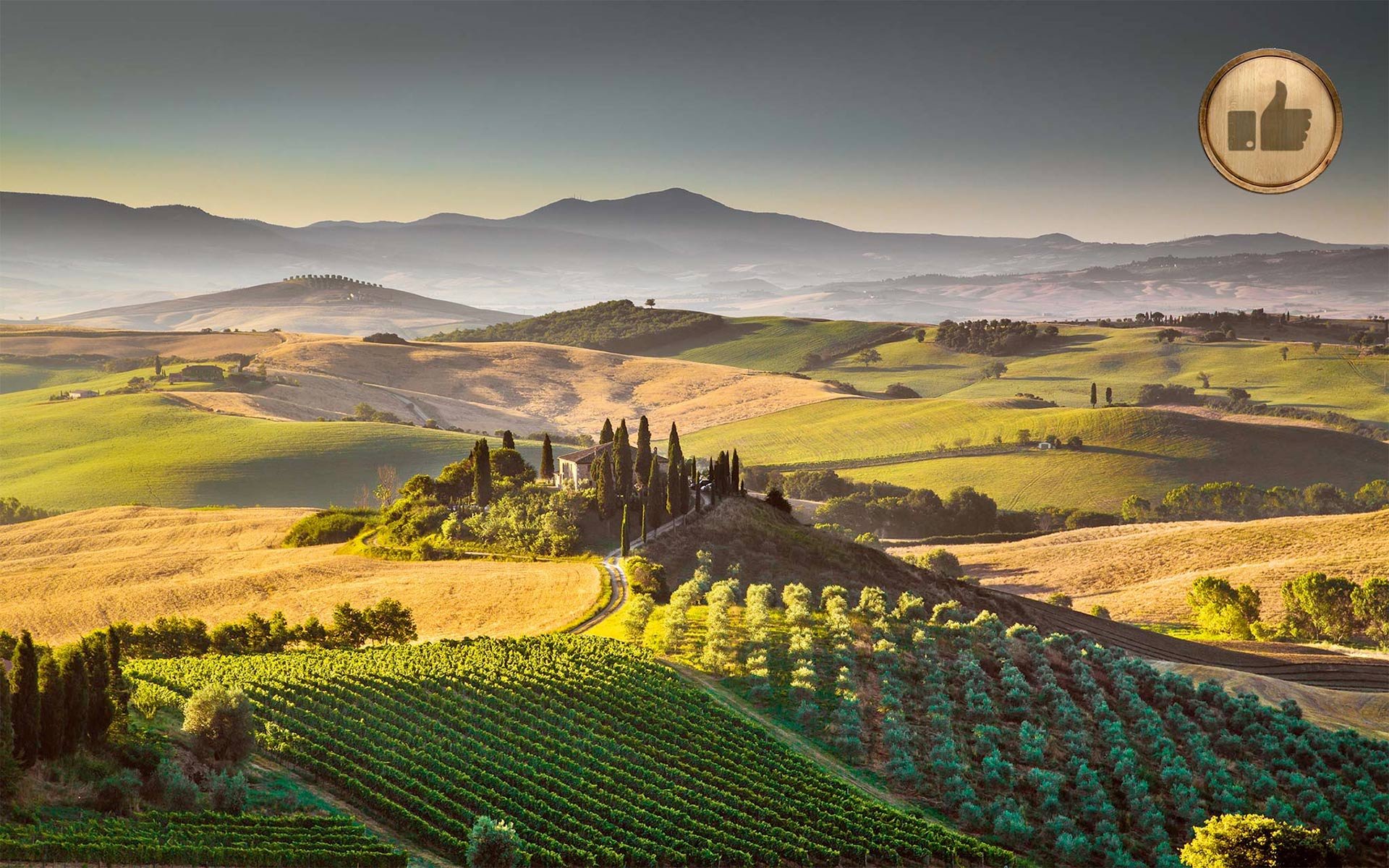 Weinberge in der Toskana: In Italien trug ein warmer September zur perfekten Ausreifung bei.