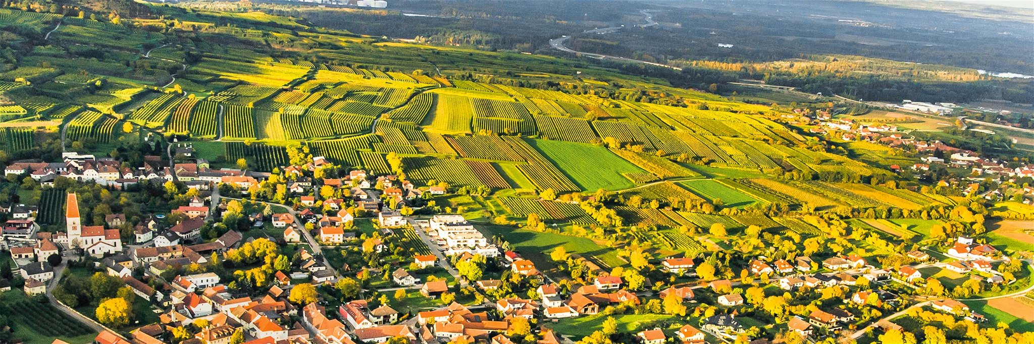 Nußdorf ob der Traisen besitzt eine lange Weinbau-Tradition.