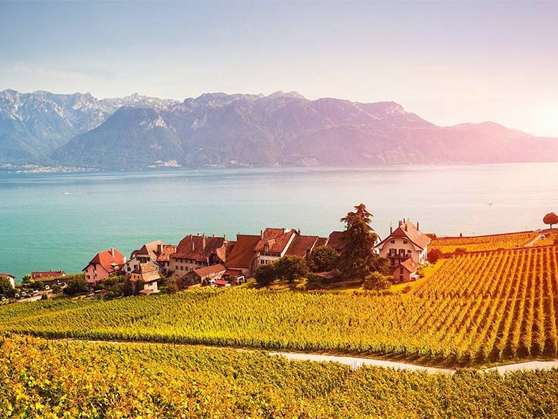 Weinberge am Genfersee: Die Schweiz darf sich über einen schönen Jahrgang 2015 freuen.