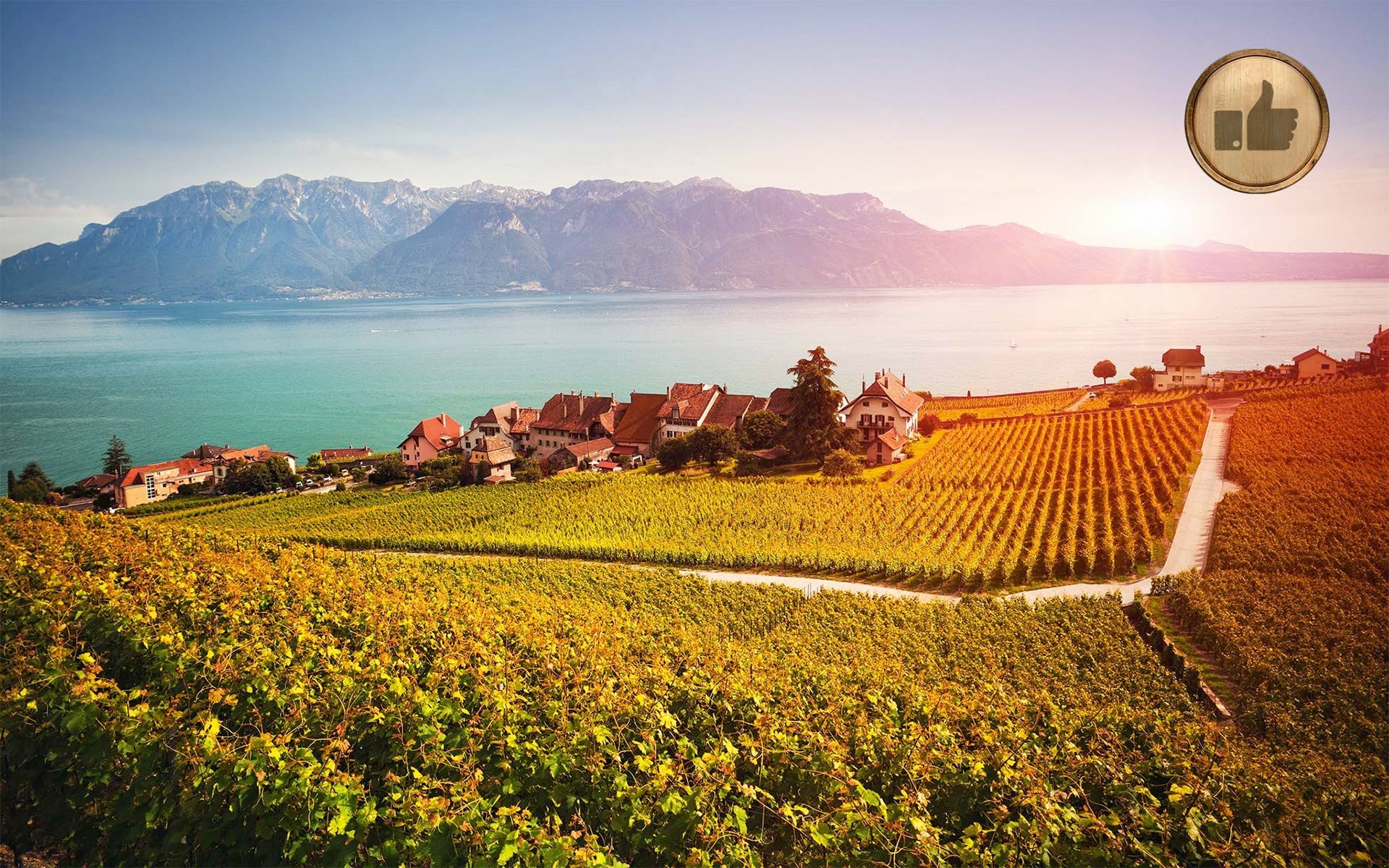 Weinberge am Genfersee: Die Schweiz darf sich über einen schönen Jahrgang 2015 freuen.