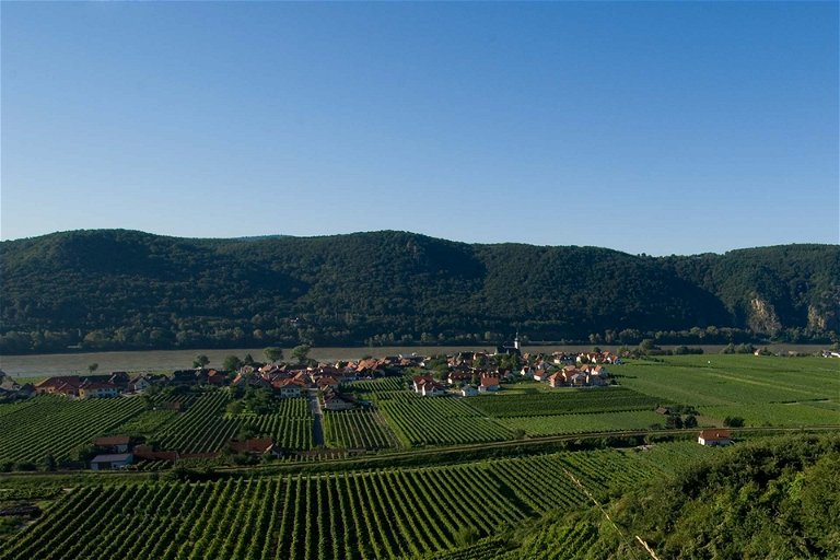 Geschichte entlang der Donau und hervorragende Weißweine – das UNESCO Weltkulturerbe Wachau.