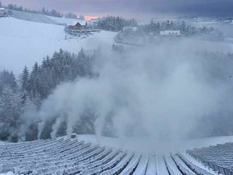 Tiefster Winter im österreichischen Weinbaugebiet Südsteiermark