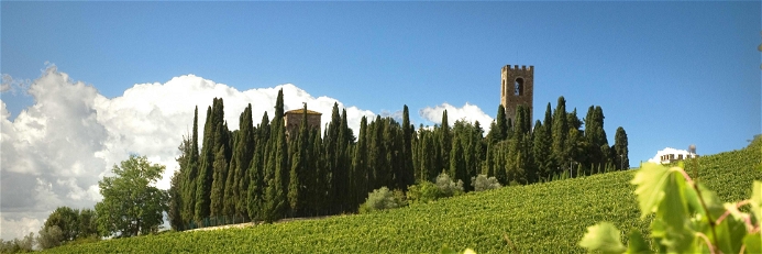 Rund um das Kloster von Passignano wachsen die Reben für Marchesi Antinoris Weine.
