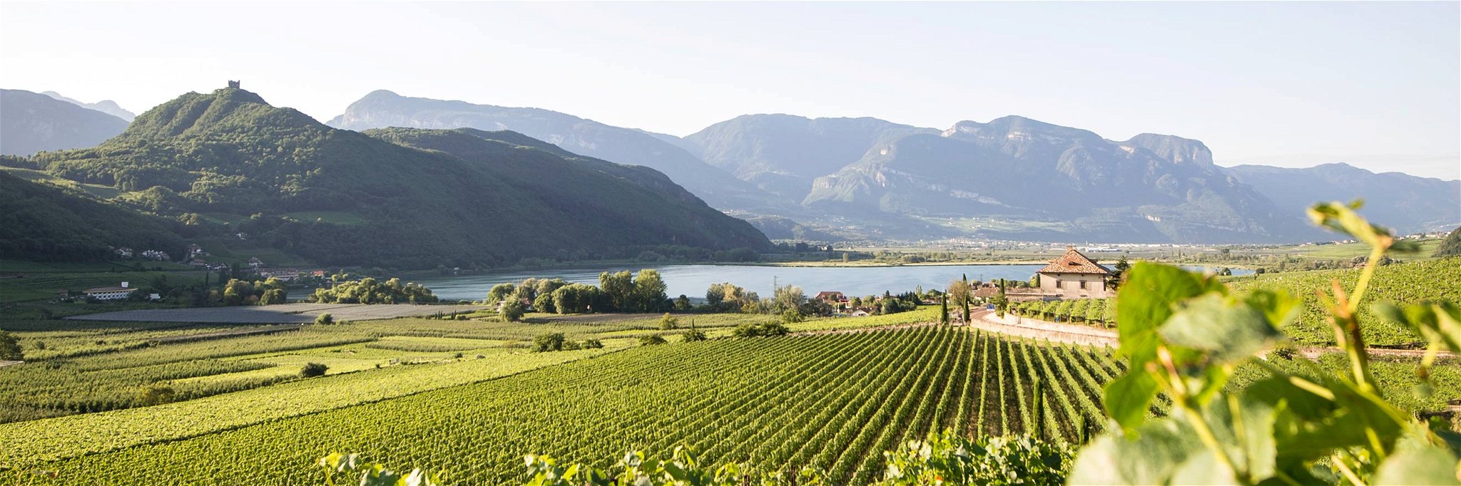 Südtirol: optimale Verbindung zwischen Wein, Genuss und Erholung.