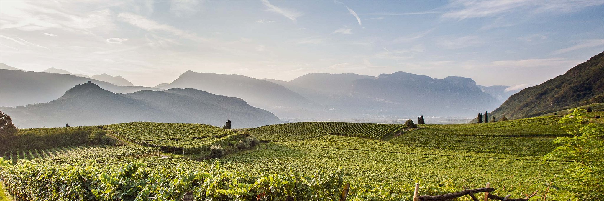 Weinbauland Südtirol: klein, aber Top-Qualität!