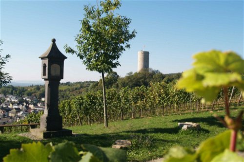 Schönste Weinsicht Rheingau 2016Von Burg Scharfenstein auf die Weinlagen von Kiedrich und Martinsthal, Kiedrich