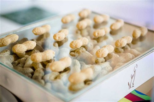 «Digikong»: Unten die echten, oben die gedruckten Erdnüsse.