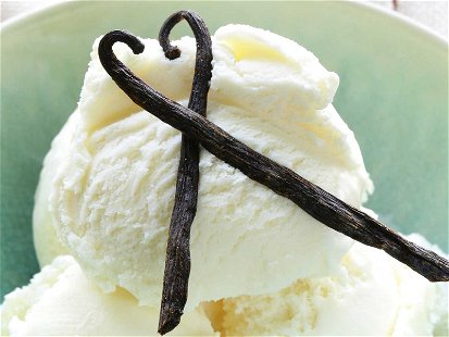 Eiskalt erwischt! Vanilleeis ist das beliebteste Eis der Österreicher. Falstaff ging der Frage nach, wie viel Vanille tatsächlich drin steckt.