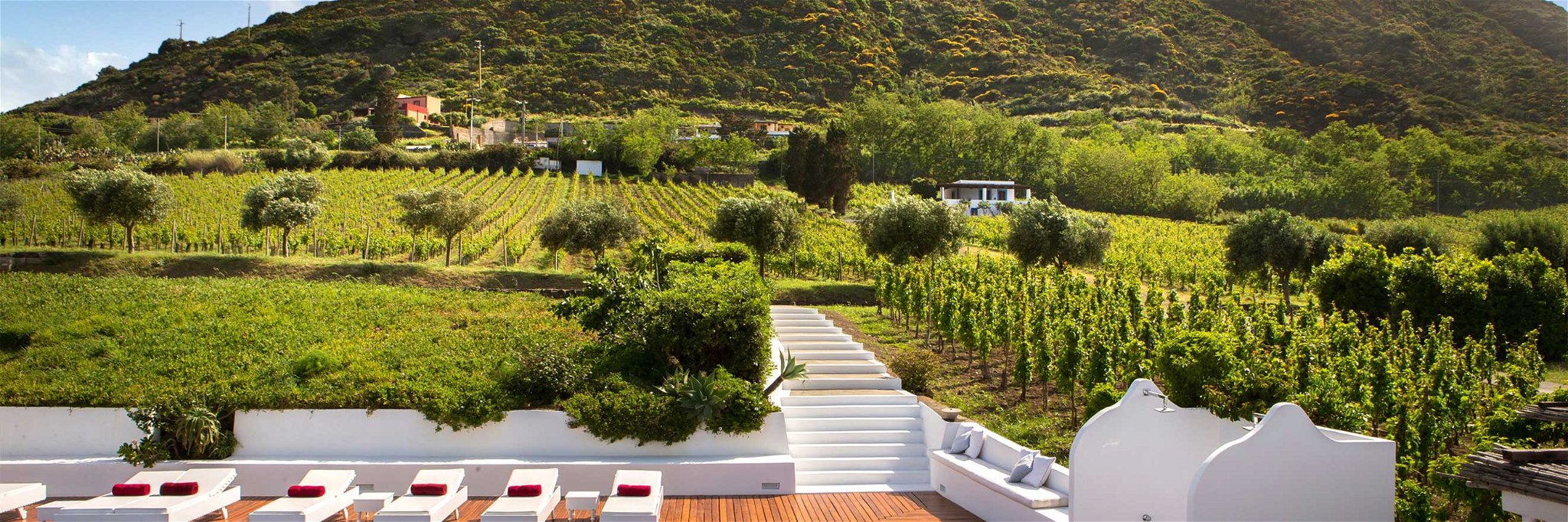 Das »Capofaro Malvasia &amp; Resort« auf der Insel Salina liegt inmitten von Weingärten. Hier entsteht einer der besten Süßweine Italiens.