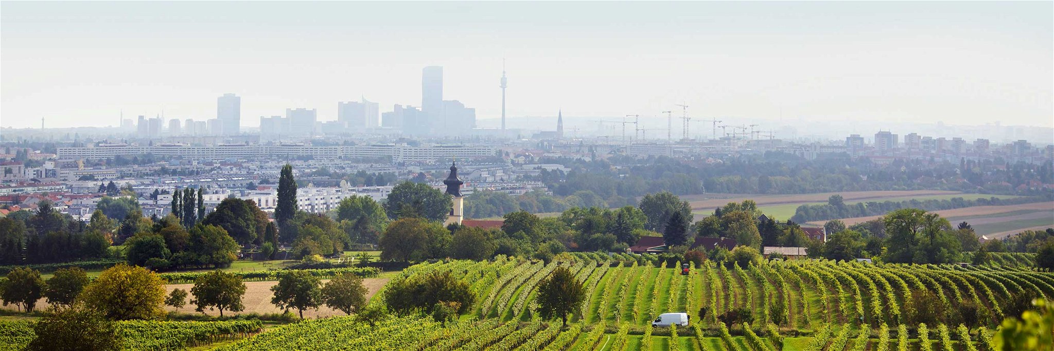 Wien zu Füßen: Blick vom Bisamberg über die Weingärten von Stammersdorf.