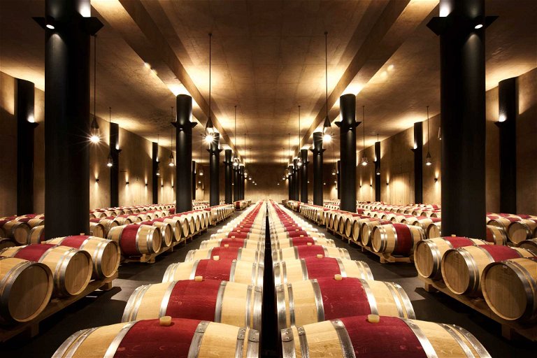 In Monteverro wird  der Wein in französischen Barriques ausgebaut.