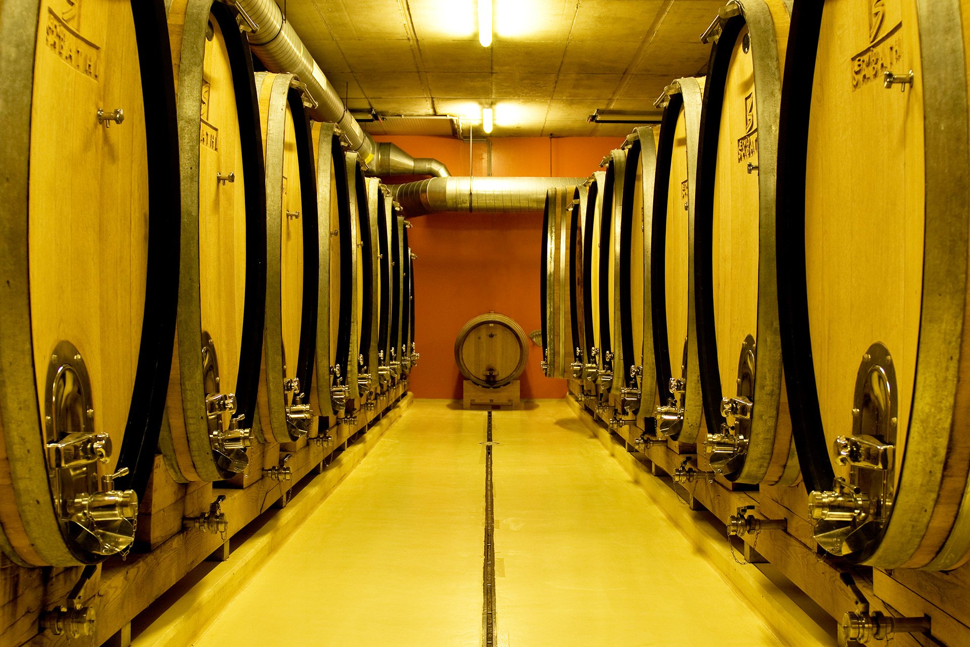Der Fasskeller im Weingut Sabathi erfüllt modernste Standards.