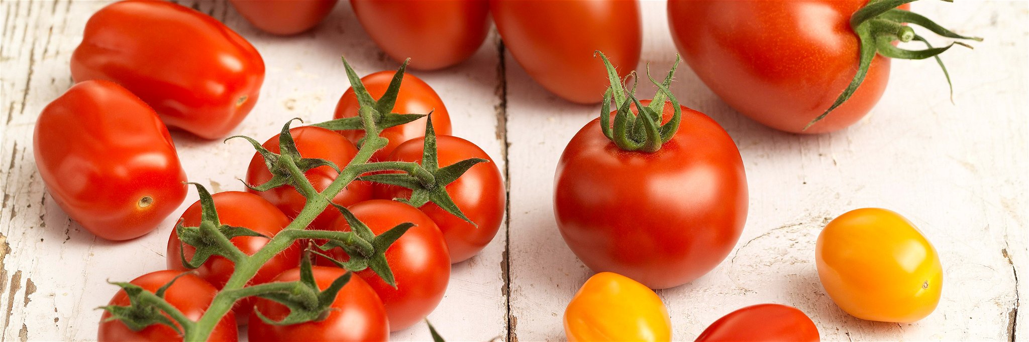 Die Tomate bietet vielfältigen Genuss.