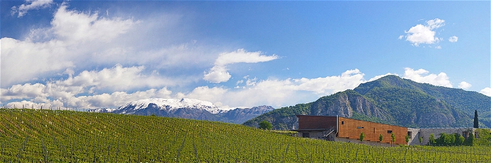Das moderne Franciacorta-Weingut Barone Pizzini
