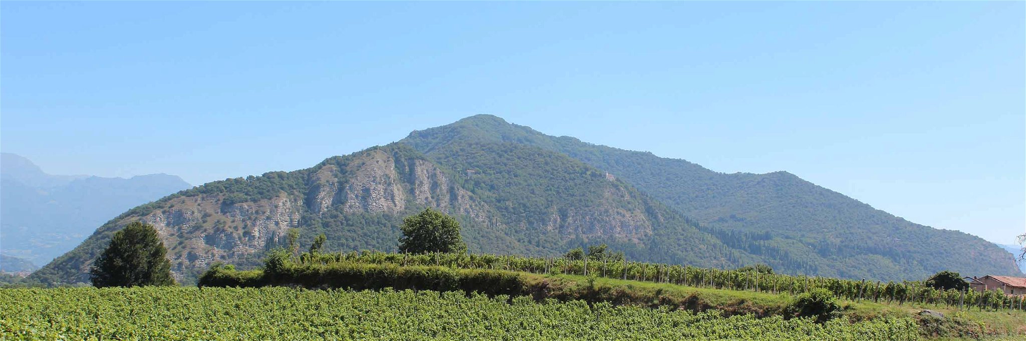Typische Weingärten der Franciacorta