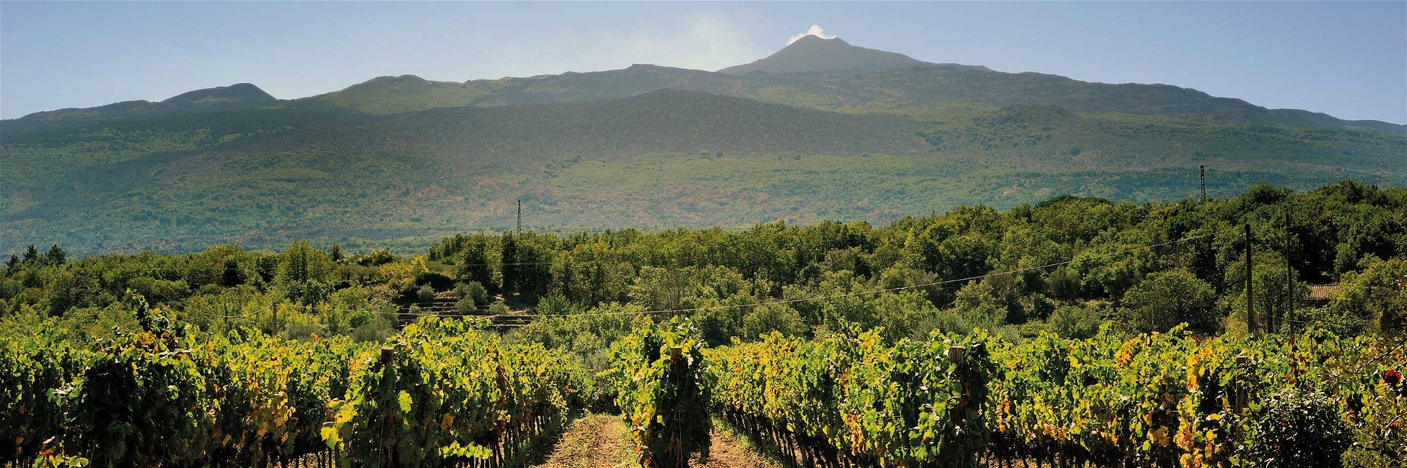 Blick über die Ostküste Siziliens bis zum Ätna: Hier entstehen heraus­ragende Weine einer neuen Winzerszene.