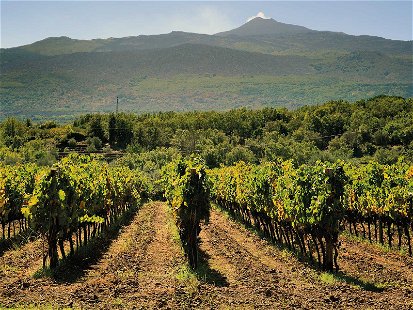 Blick über die Ostküste Siziliens bis zum Ätna: Hier entstehen heraus­ragende Weine einer neuen Winzerszene.
