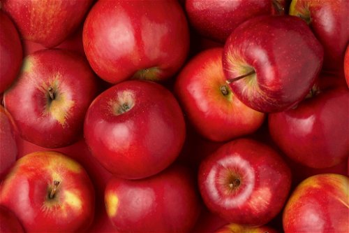  Gölles begann in den 1980ern, aus der Maische des Apfels zu destillieren.© Shutterstock