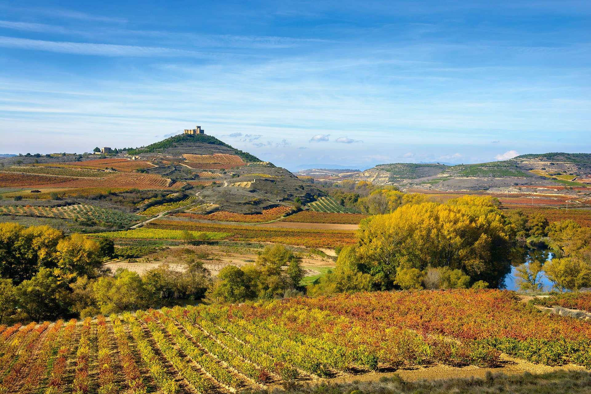 Traumhafte Weinlandschaft in&nbsp;Davalillo Ebro.