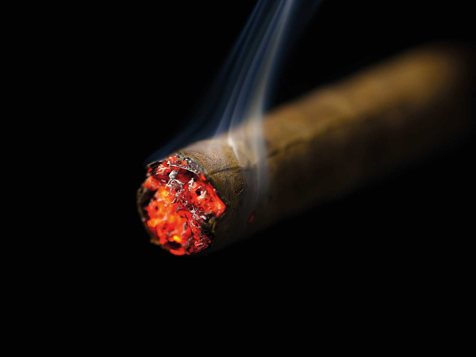 Luxus-Zigarren: Die Glut wahrer Leidenschaft - Falstaff