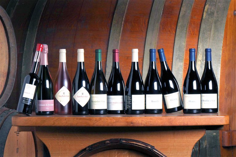Im Beaujolais existieren zwölf Appellationen für Rotwein und dazu zwei für Weisswein und Rosé.