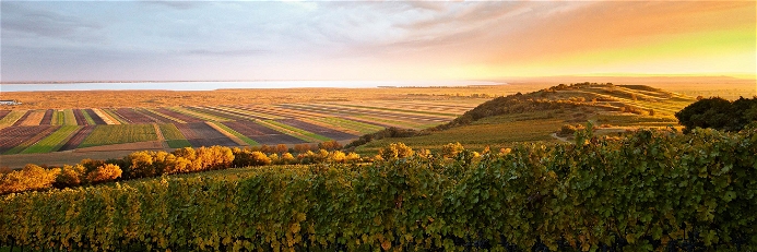 Pannonisches Klima und Neusiedler See lassen feine Burgunderweine entstehen.