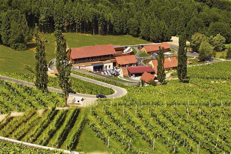 Eingebettet in das Wielitschtal liegt das neue Weingut, das seinen Besuchern viel zu bieten hat.
