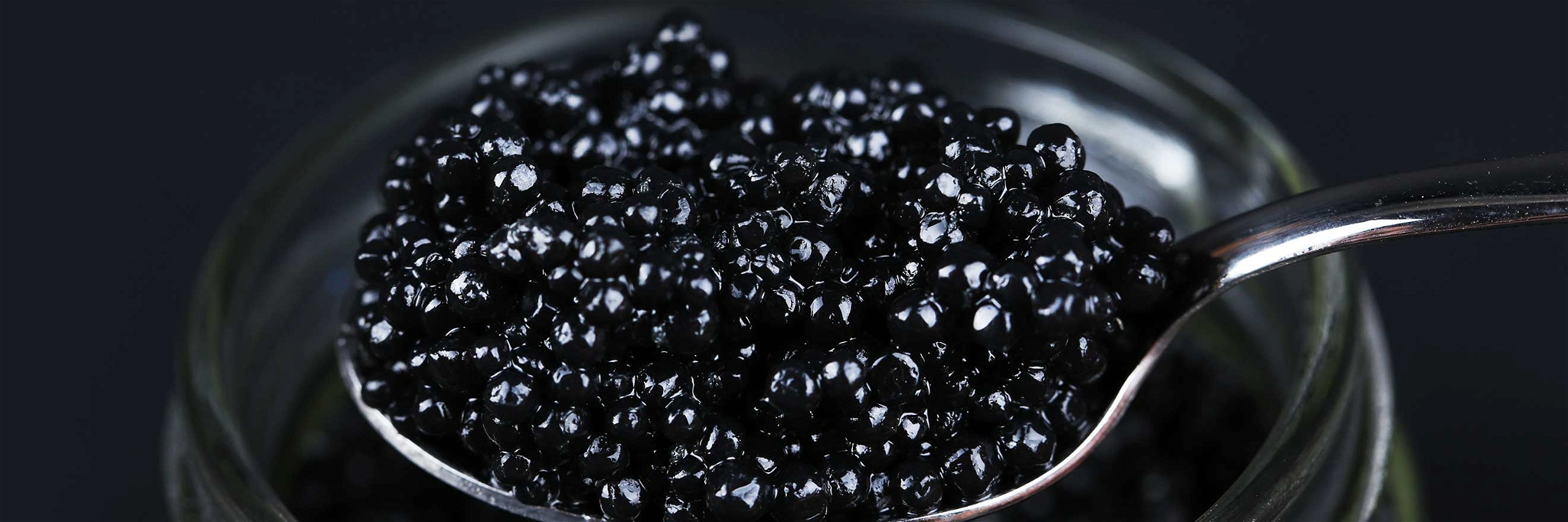 Zu Festtagen ist Kaviar ein gefragtes Produkt – heute kommt er vornehmlich aus der Zucht.