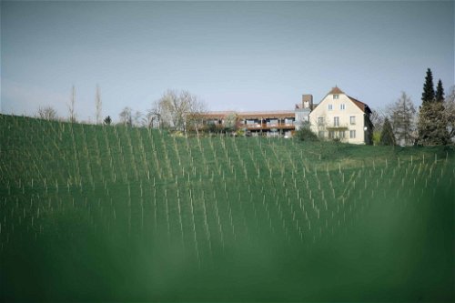 WEINGUT HARKAMP (Steiermark): Die phantastische Lage auf dem Hang mit Blick über die Weingärten hat Familie Harkamp dazu veranlasst, das kleine Hotel mit 25 Zimmern zu erbauen. Mit seinem umfangreichen Wissen bereichert Hans Harkamp seine Gäste bei Weinverkostungen der eigenen Weine.