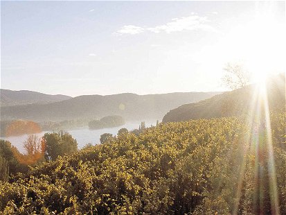 Das Event für Wein und Spirituosen: Vinexpo Explorer kommt nach Österreich.