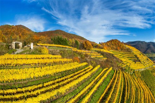 WACHAU (Österreich):&nbsp;Die Region liegt an der Donau und ist etwa 30 Kilometer lang. Mitglieder des Gebietsschutzvereins »Vinea Wachau« haben drei Marken zur Deklarierung ihrer Weine definiert. Unterschieden werden sie in erster Linie nach dem Alkoholgehalt. Leichtweine bis 11,5% heißen »Steinfeder« , die klassische Kategorie (11,5 bis 12,5% Alkohol) trägt den Namen »Federspiel« und kraftvolle Reserveweine werden als »Smaragd« bezeichnet. Ein Highlight sind die angebotenen Schifffahrten, von denen man auch die Weingärten bewundern kann.
