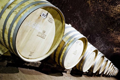 Die Weine aus Tokaj reifen meist in Eichenfässern, die ebenfalls vor Ort hergestellt werden. Berühmt sind die Süßweine der Region.&nbsp;