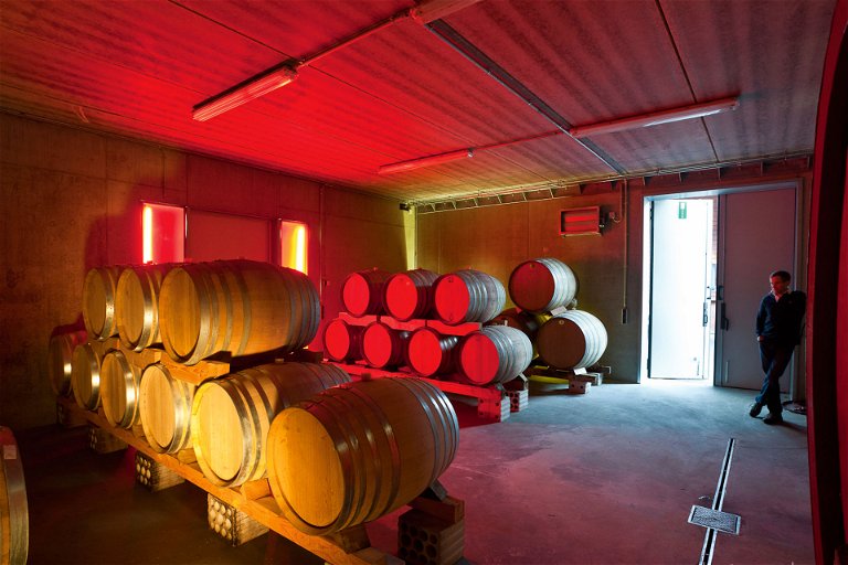 Keller im Weingut Wöhrle: Auch die Auswahl einer zum Weintyp passenden Küferei trägt zur Weinqualität bei.