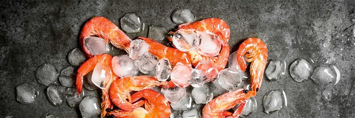 Crevetten sollten fangfrisch tiefgefroren werden –&nbsp;am besten schon direkt&nbsp;auf dem Boot.&nbsp;
