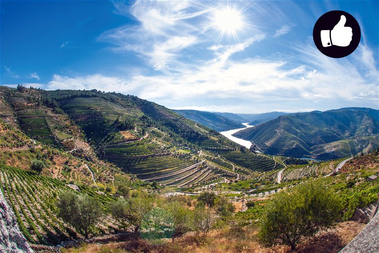 Die Winzer im Douro-Tal sprechen von einem &nbsp;ungewöhnlichen Jahrgang.