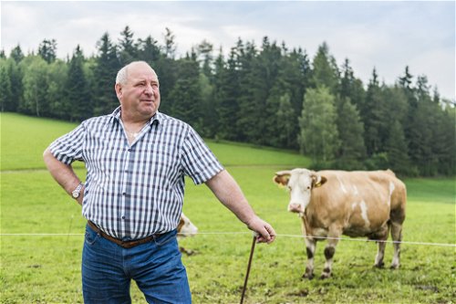 Franz und Erni Kaltenberger betreiben einen Rinderbetrieb.