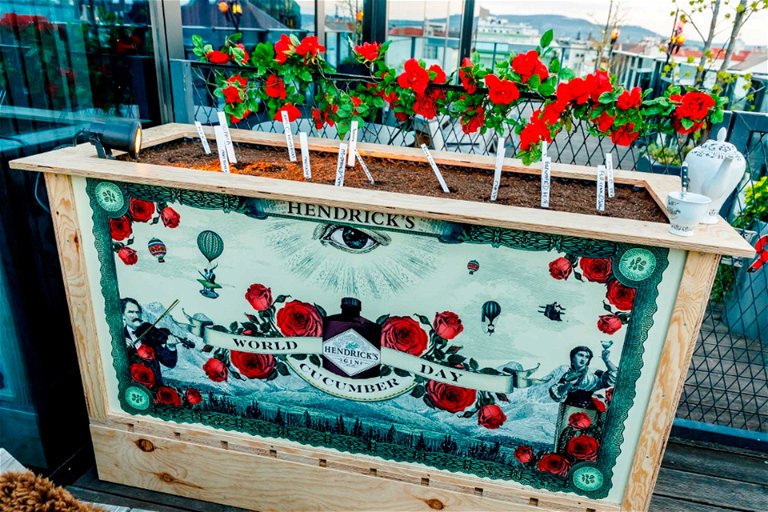 Im stilechten Hendrick’s-Hochbeet im »25hours« Hotel werden die von Top-Barkeepern gesäten Gurkenpflanzen bis zum World Cucumber Day am 14. Juni gehegt und gepflegt.