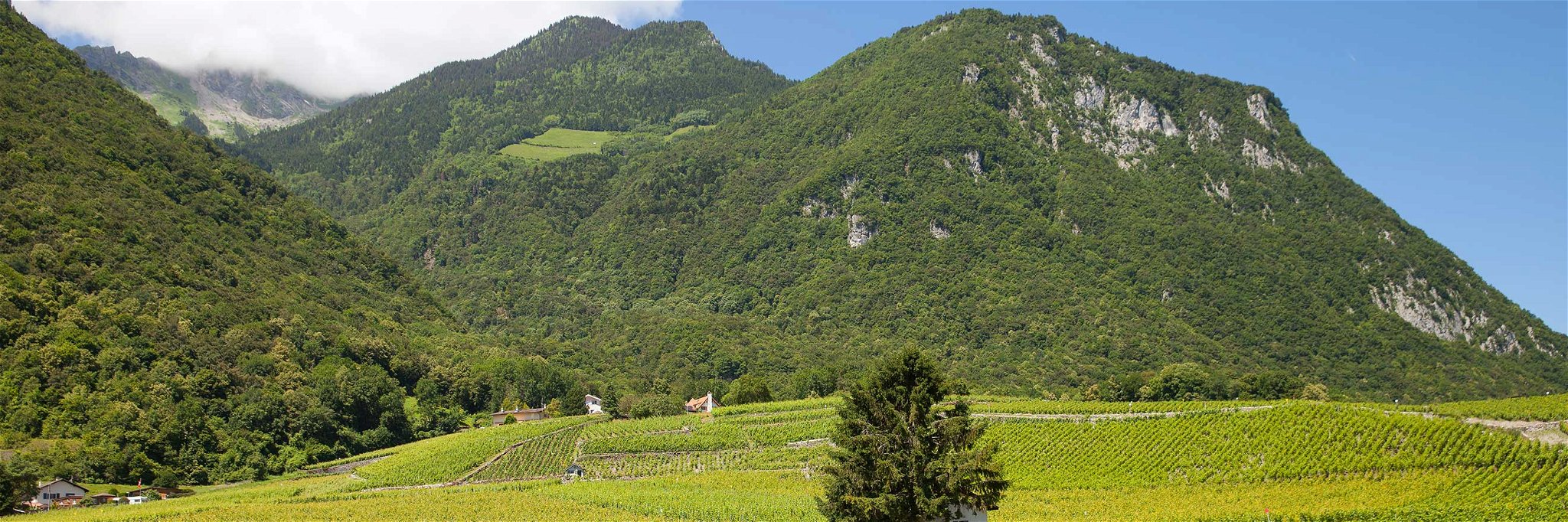 Klein, aber spannend: die Crémantregion Savoie