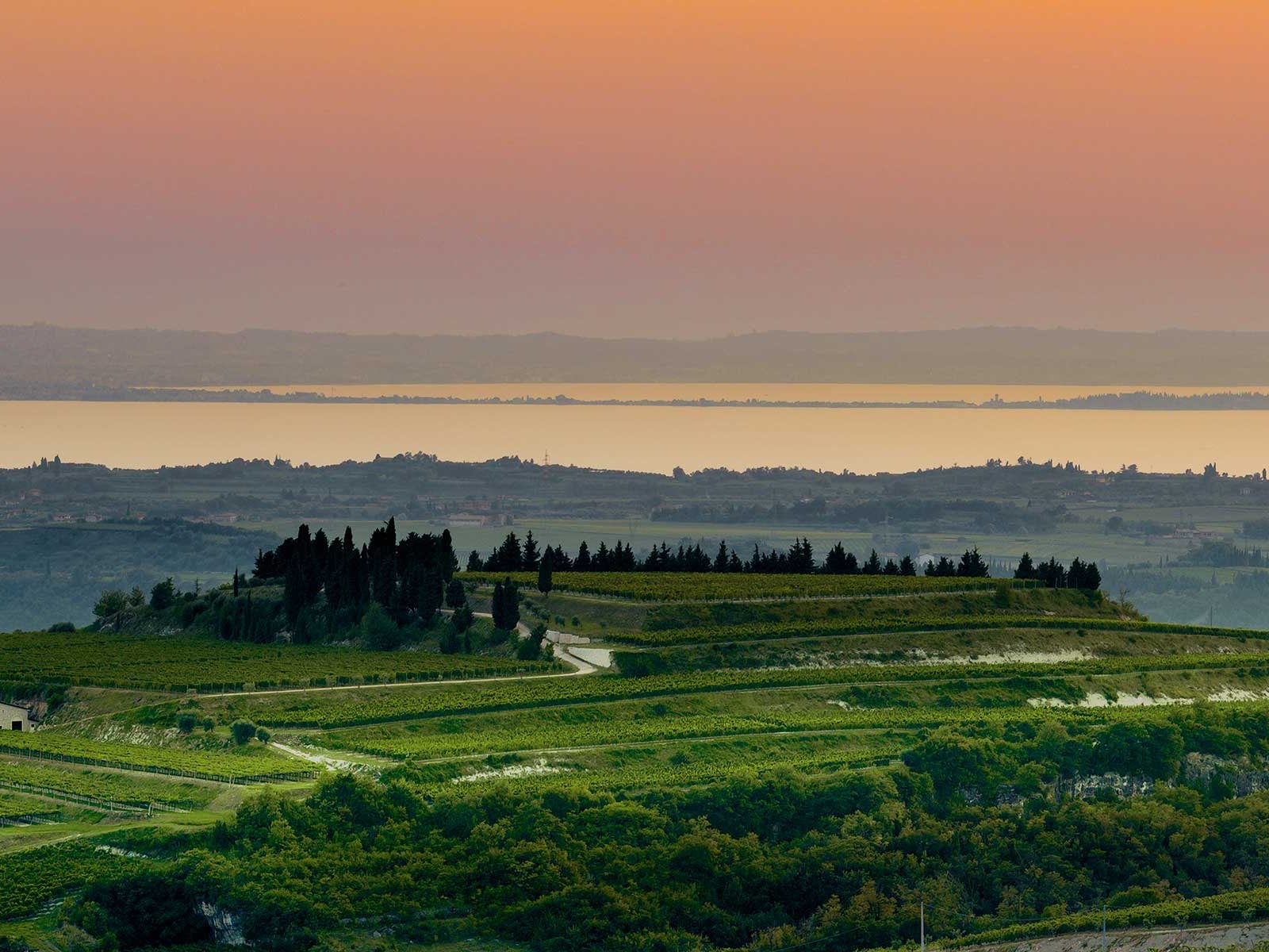 Seeblick: Von Allegrinis La-Grola-Weingarten fällt der Blick direkt auf den Gardasee.