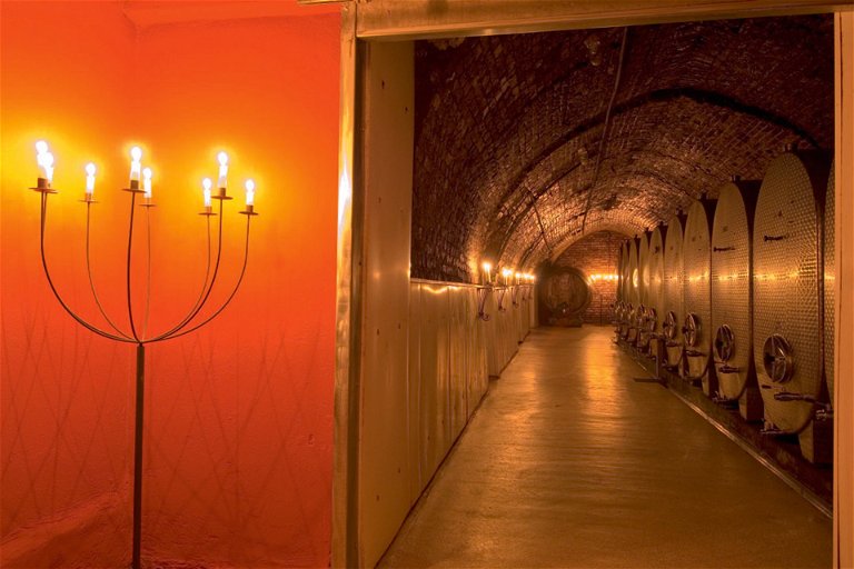 Das »Steckenpferd« des Weinguts Setzer ist die Weinviertel DAC Reserve.