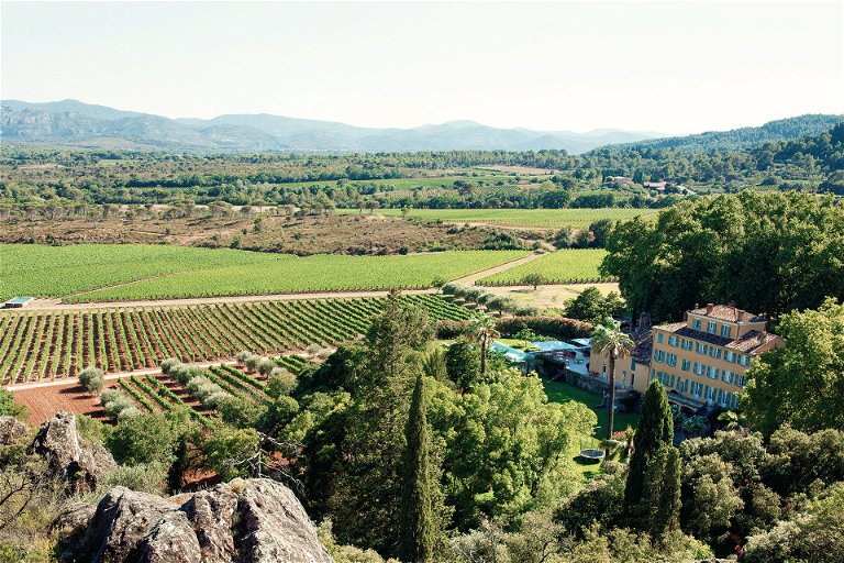Der &quot;Whispering Angel&quot; von Château d'Esclans gehört zu den weltweit beliebtesten Roséweinen. 