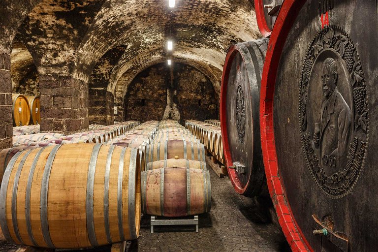 Wichtigster St.-Magdalener-Erzeuger in Südtirol ist die Kellerei Bozen, die viele Weinbauern unter ihrem Dach vereint.&nbsp;