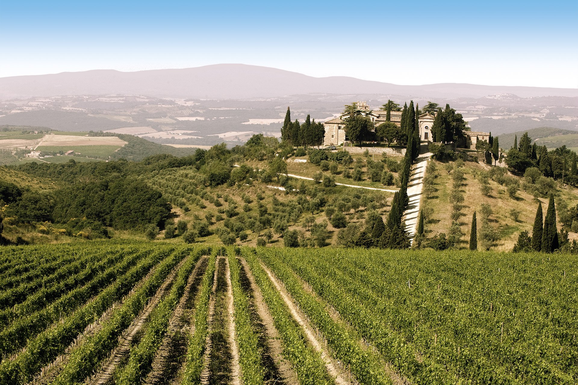 Die Frescobaldis besitzen sechs Weingüter in der Toskana, Castelgiocondo in Montalcino ist eines davon.